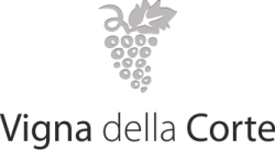 Vigna della Corte